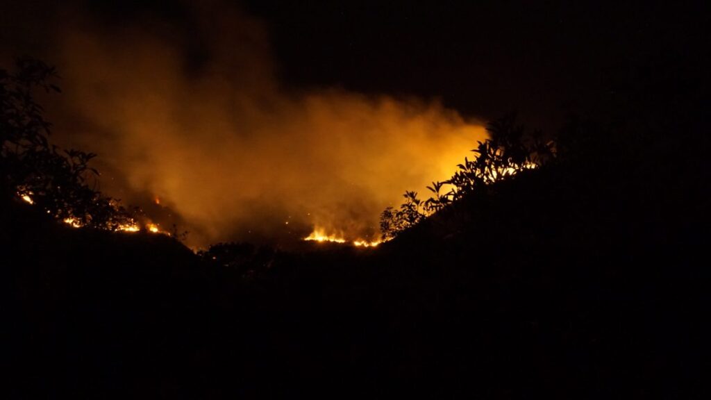 Incendio forestal en Chile; imagen documental referencial para una nota sobre reconstrucción