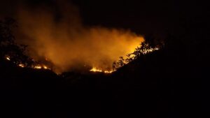 Incendio forestal en Chile; imagen documental referencial para una nota sobre reconstrucción