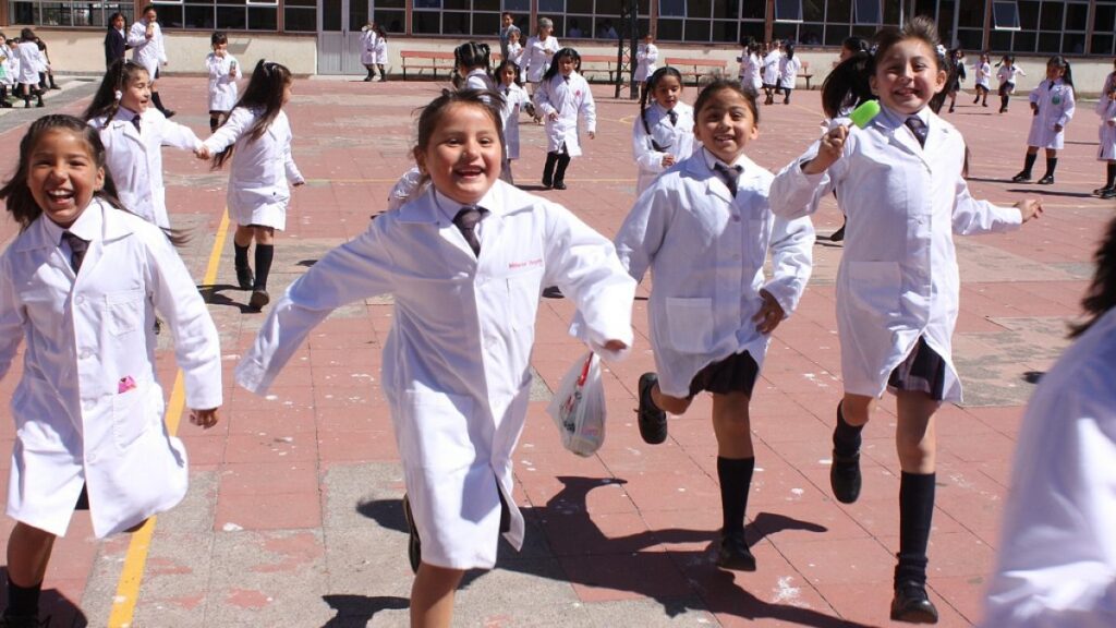 Movilización por la educación en Chile, imagen documental referencial