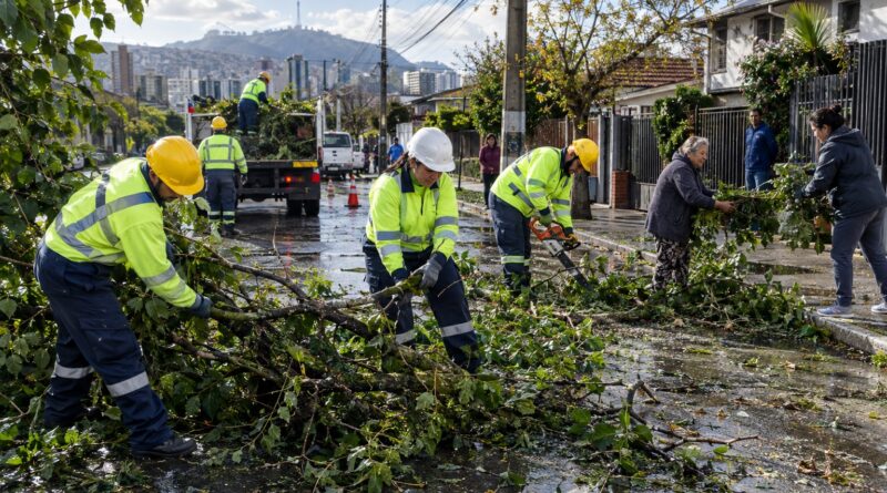 Trabajadores municipales despejan ramas y apoyan a vecinos tras un temporal en Santiago